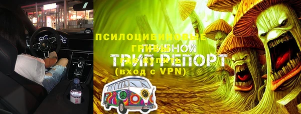 СК Аркадак