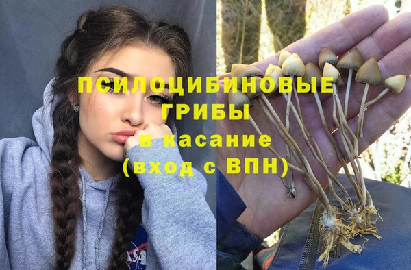 СК Аркадак